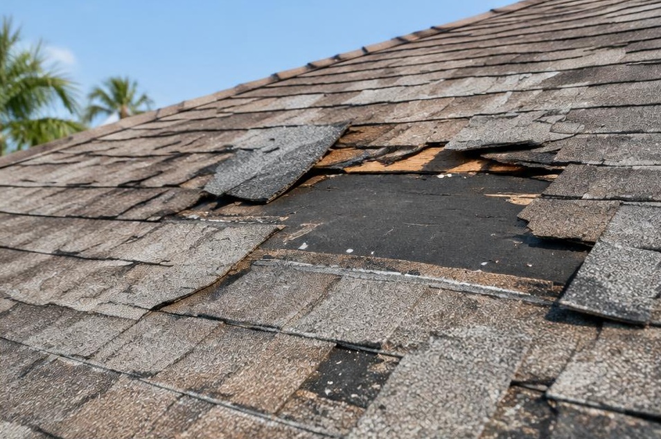 Wind-damaged shingles